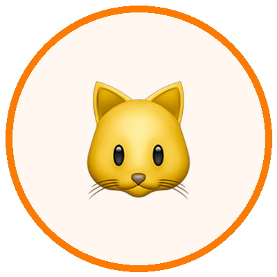 Kedi Filesi