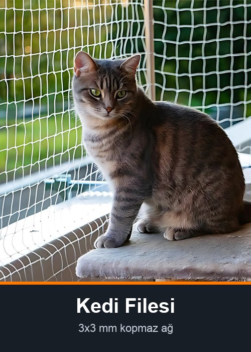 Kedi Filesi