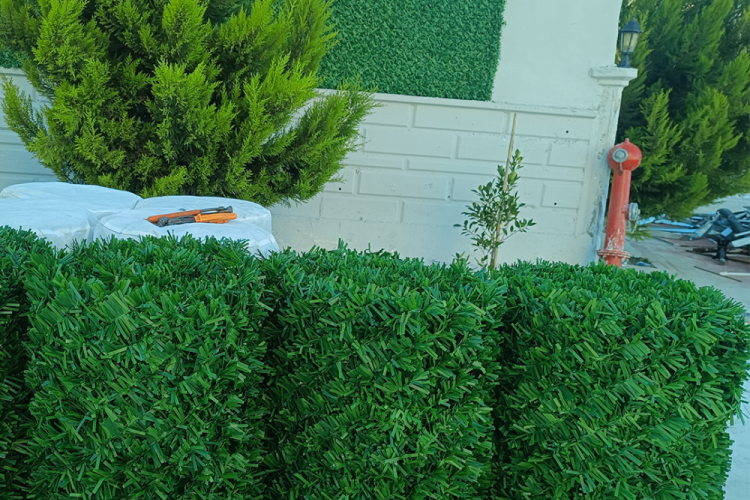Çim Çit 10 Metre – Yeşil Gizlilik Perdesi ve Bahçe Çiti
