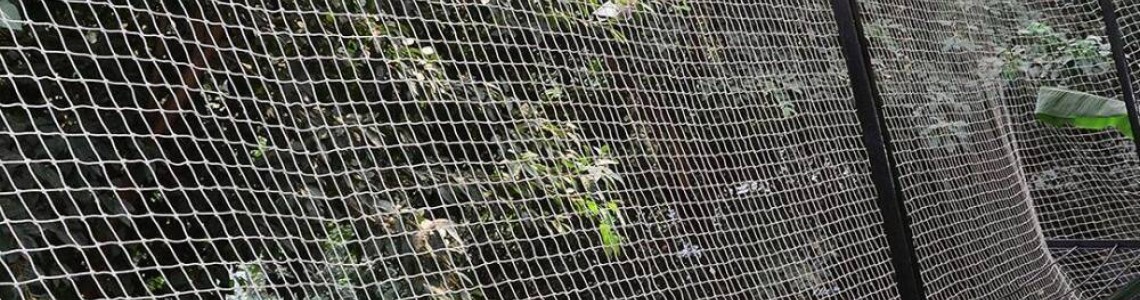 Güvercin Önleme Kuş Filesi: Doğru Seçim ve Montaj Rehberi