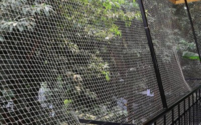 Güvercin Önleme Kuş Filesi: Doğru Seçim ve Montaj Rehberi